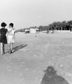 استراقات 301